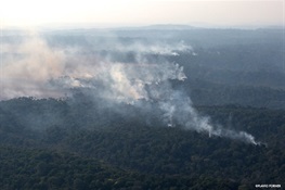 WCS Brazil Issues Statement on the Amazon Fires (English and Spanish)